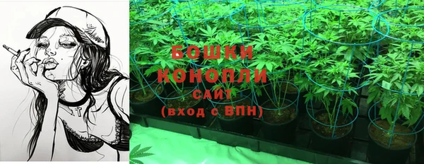 прущие крисы Арсеньев